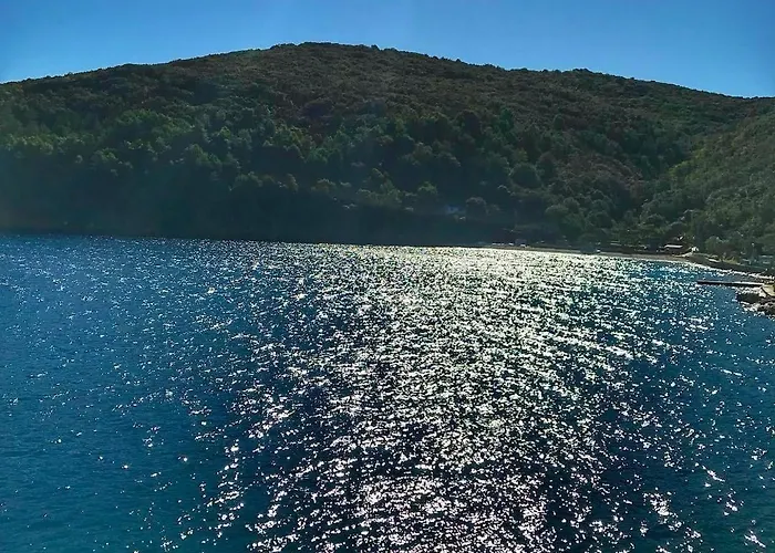 Palac Couette-café Valun